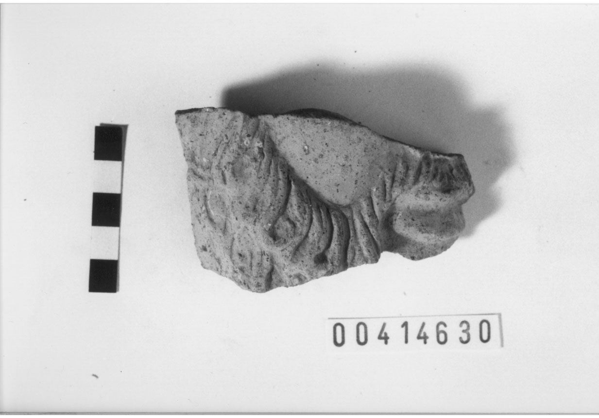 Figura maschile barbata (Testa votiva/ frammento) (Fine IV a.C)