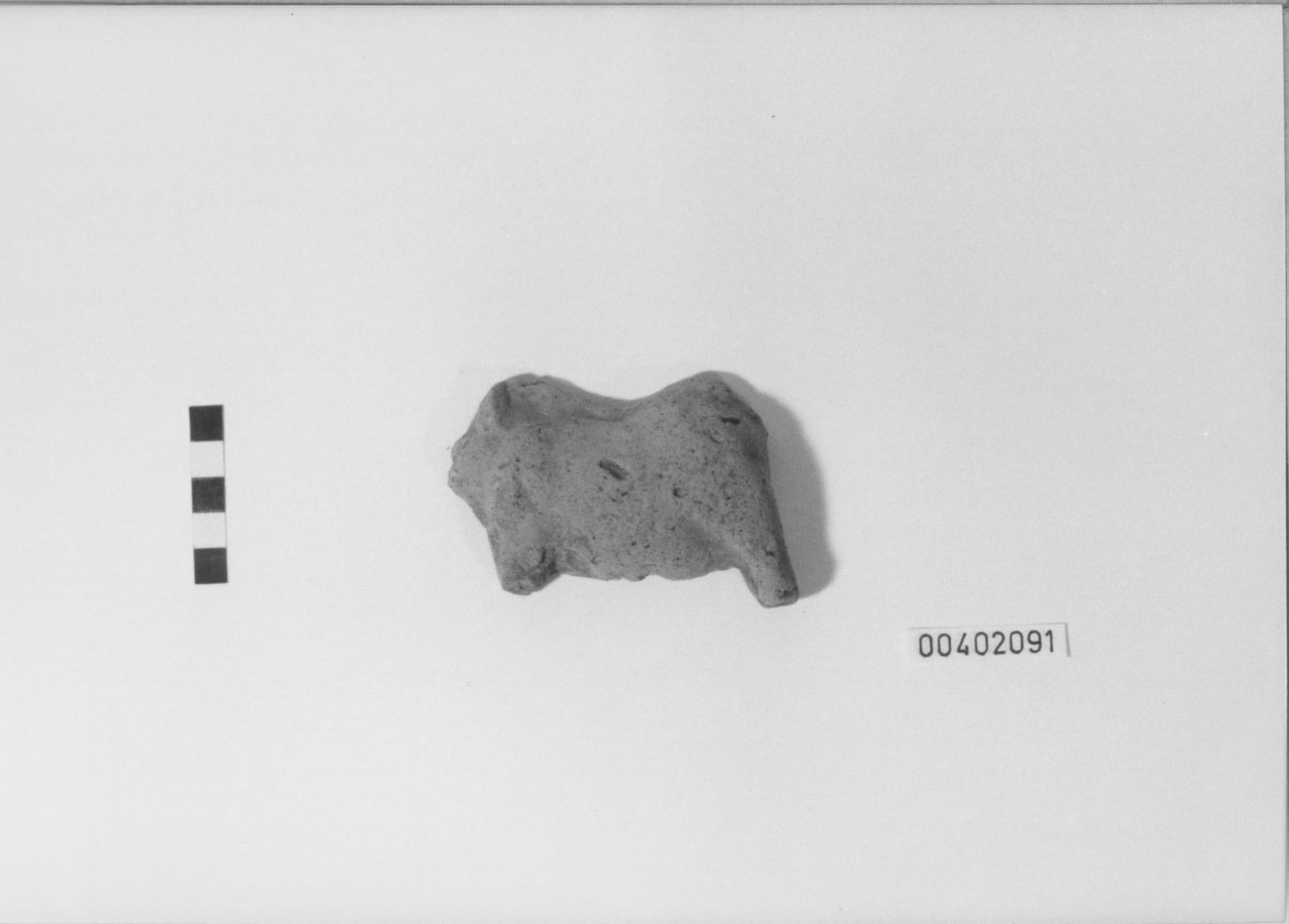 Cinghiale (Statuetta votiva/ frammento) (III a.C, II a.C)