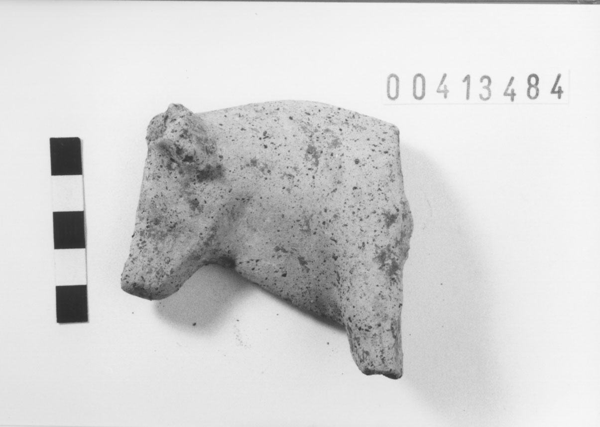 Bovino (Votivo di animale/ frammento) (III a.C, II a.C)