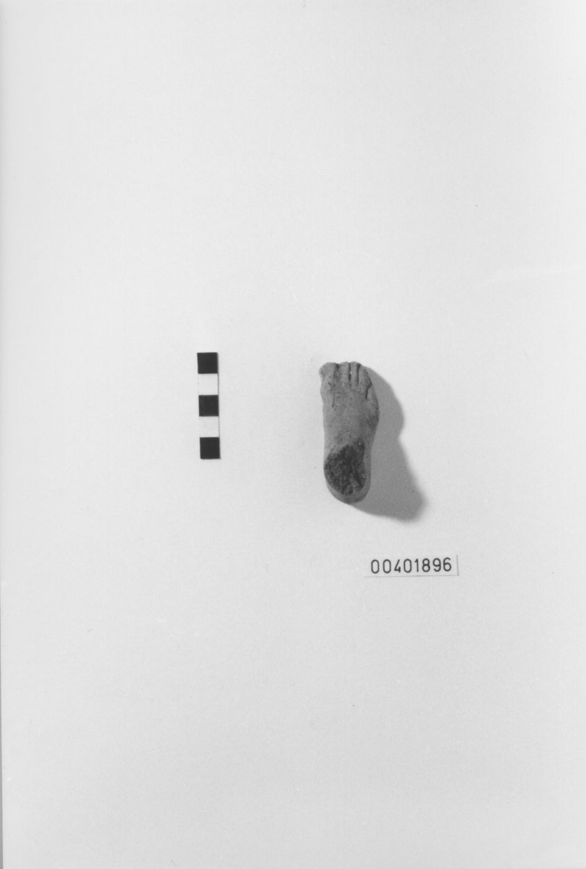 Piede (Votivo anatomico) (III a.C, II a.C)