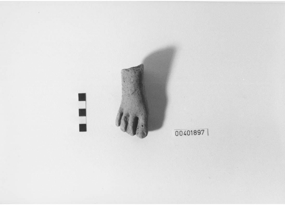 Piede (Votivo anatomico/ frammento) (III a.C, II a.C)