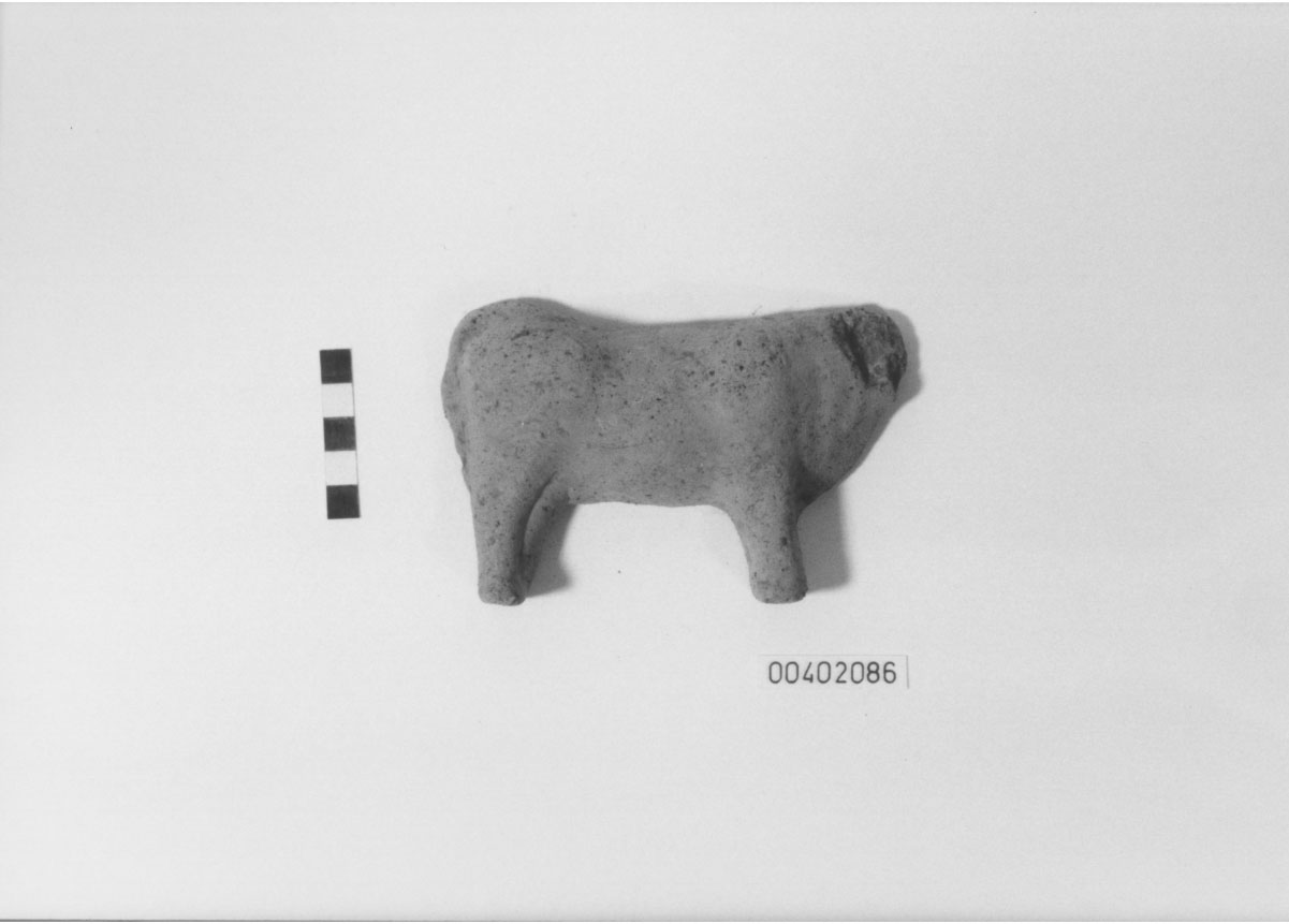Bovino (Statuetta votiva/ frammento) (III a.C, II a.C)