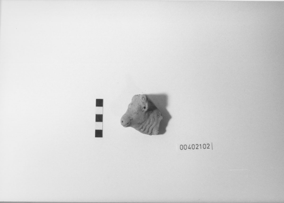 Bovino (Statuetta votiva/ frammento) (III a.C, II a.C)