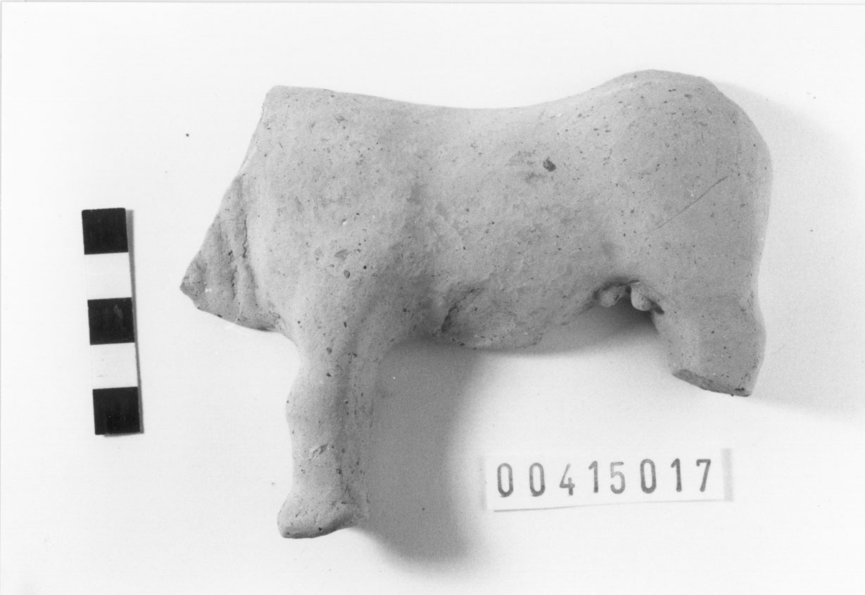 Bovino (Votivo di animale/ frammento) (III a.C, II a.C)