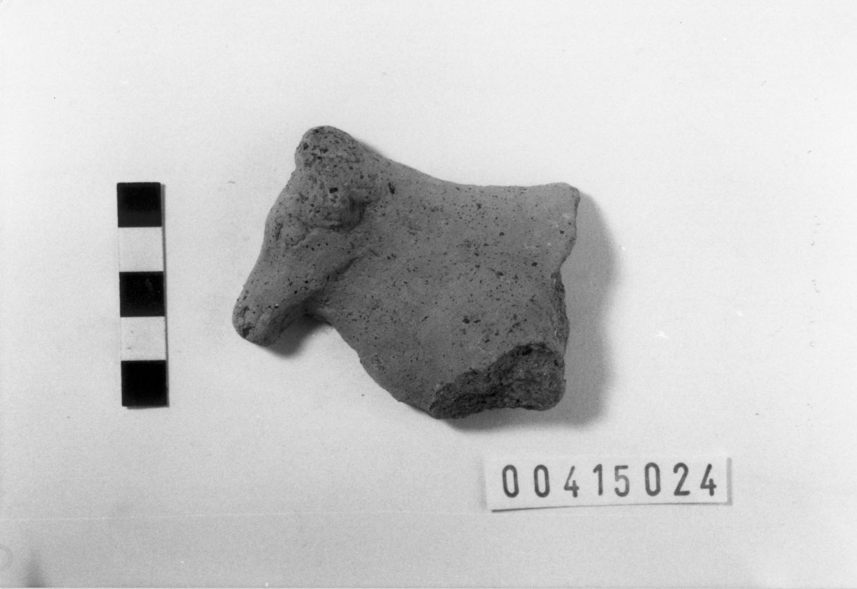 Bovino (Votivo di animale/ frammento) (III a.C, II a.C)
