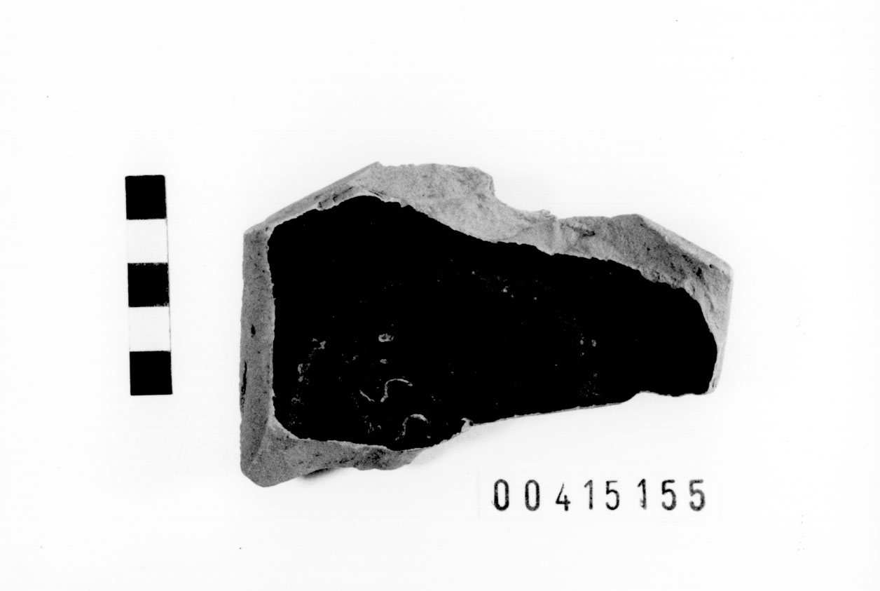 Piede, Morel, specie 313 a (Prima metà III a.C)