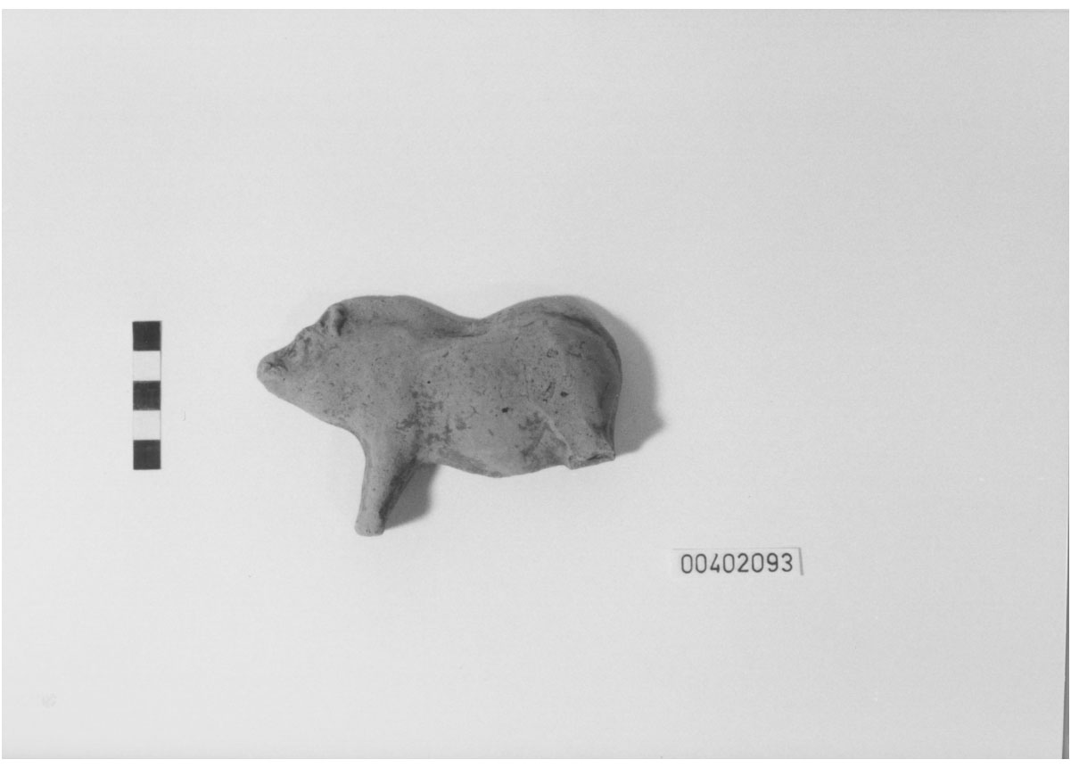 Cinghiale (Statuetta votiva/ frammento) (III a.C, II a.C)