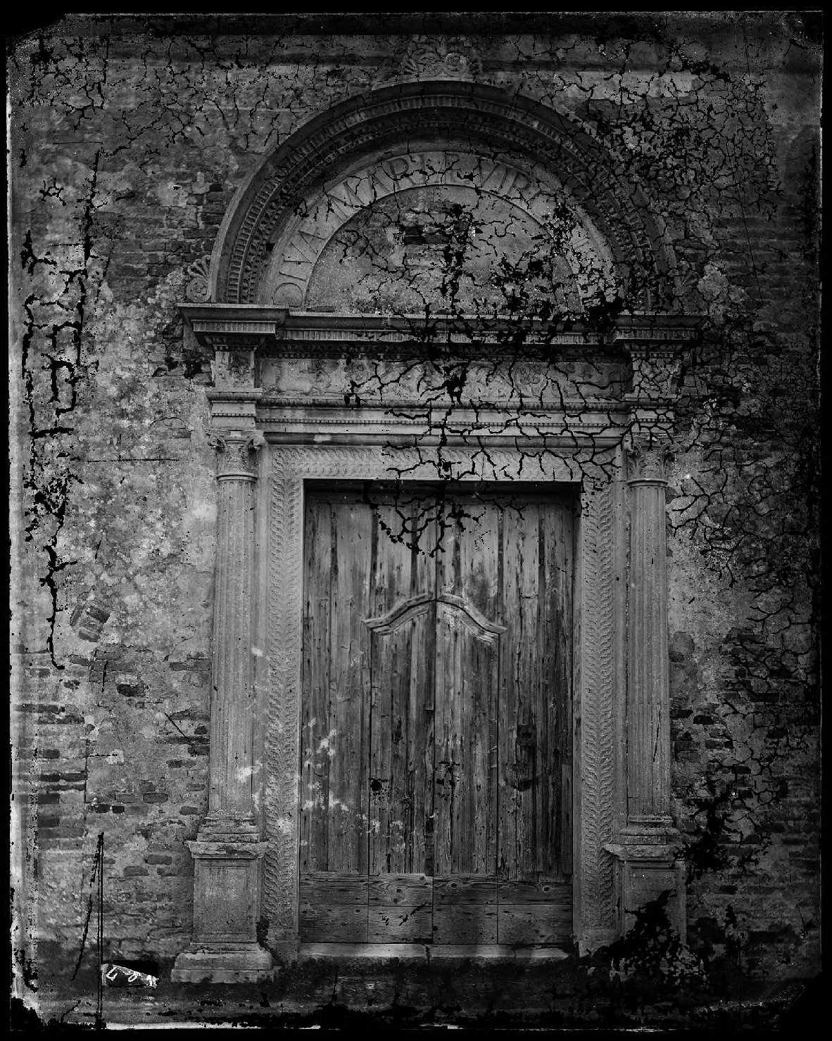 Emilia-Romagna - Ravenna <provincia> - Cervia - Santuario della Madonna del Pino (negativo) di Ricci, Luigi (XIX)