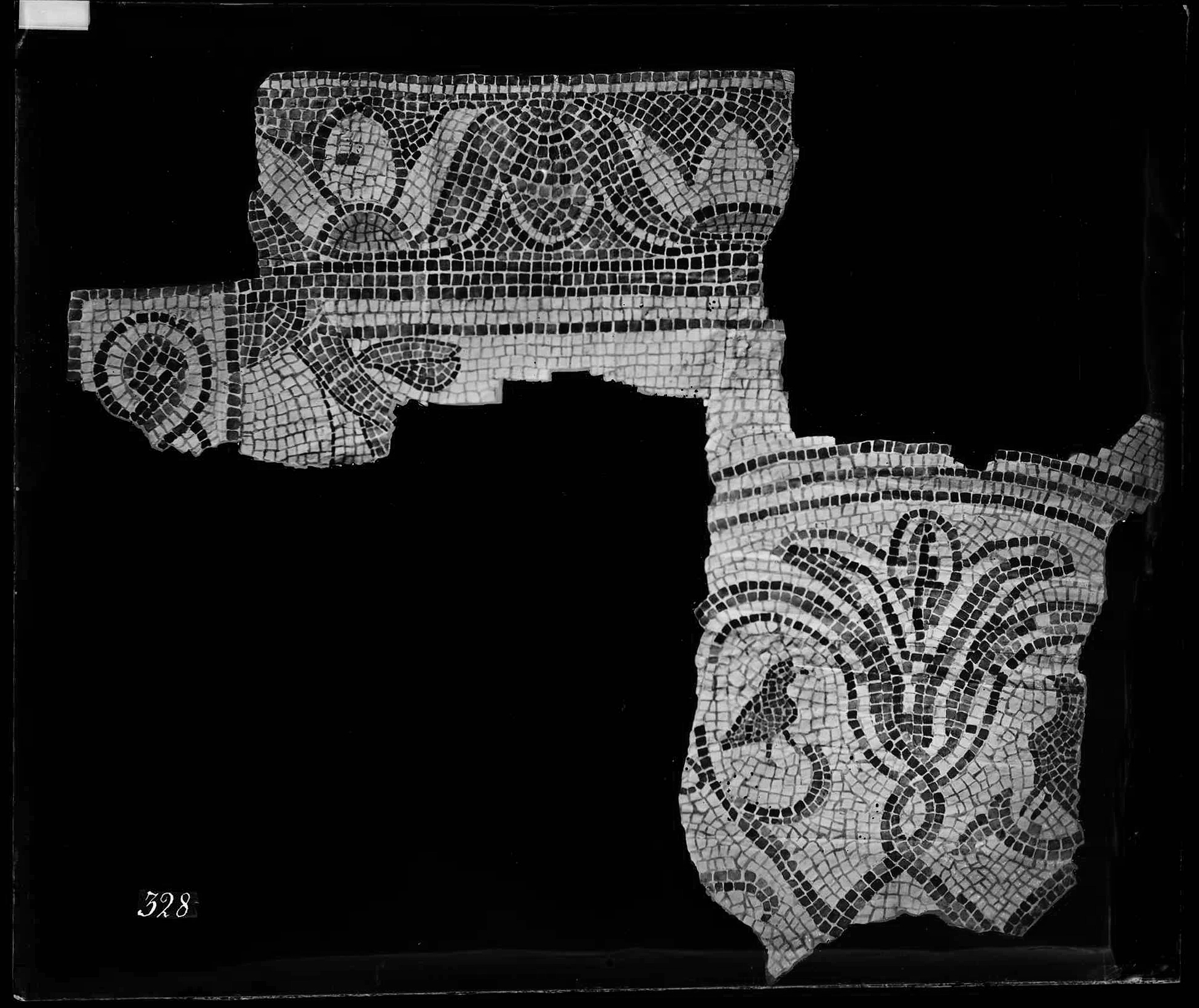 Mosaici - Pavimenti (negativo) di Ditta Luigi Ricci (studio) (XIX)
