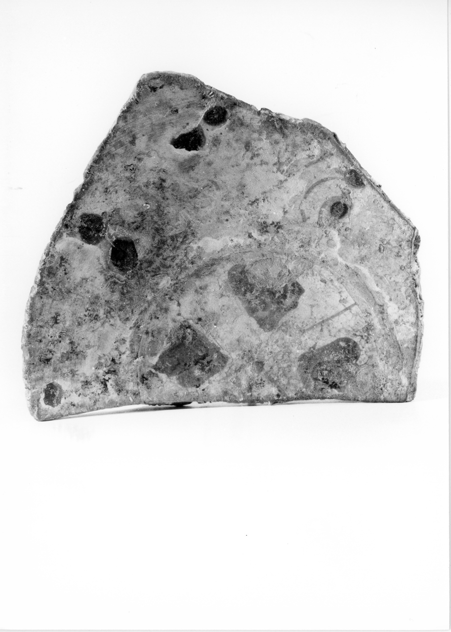 piatto - area bassanese (seconda metà sec. XVII d.C)