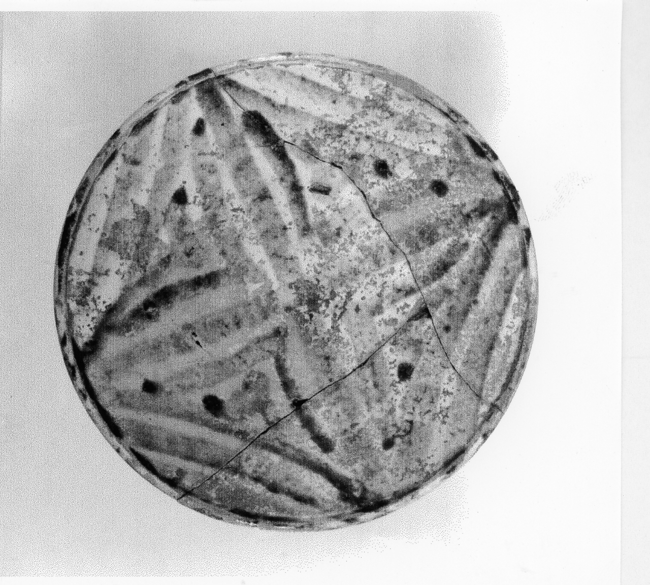 piatto - manifattura veneta (sec. XVII d.C)