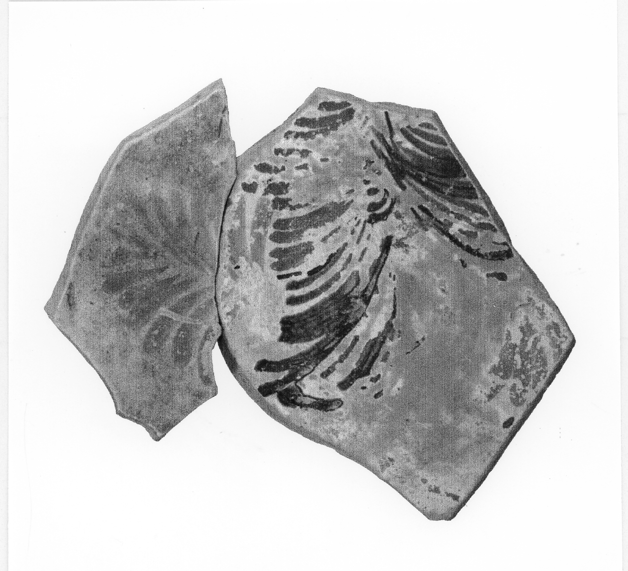 bacino - manifattura veneta (sec. XVIII d.C)