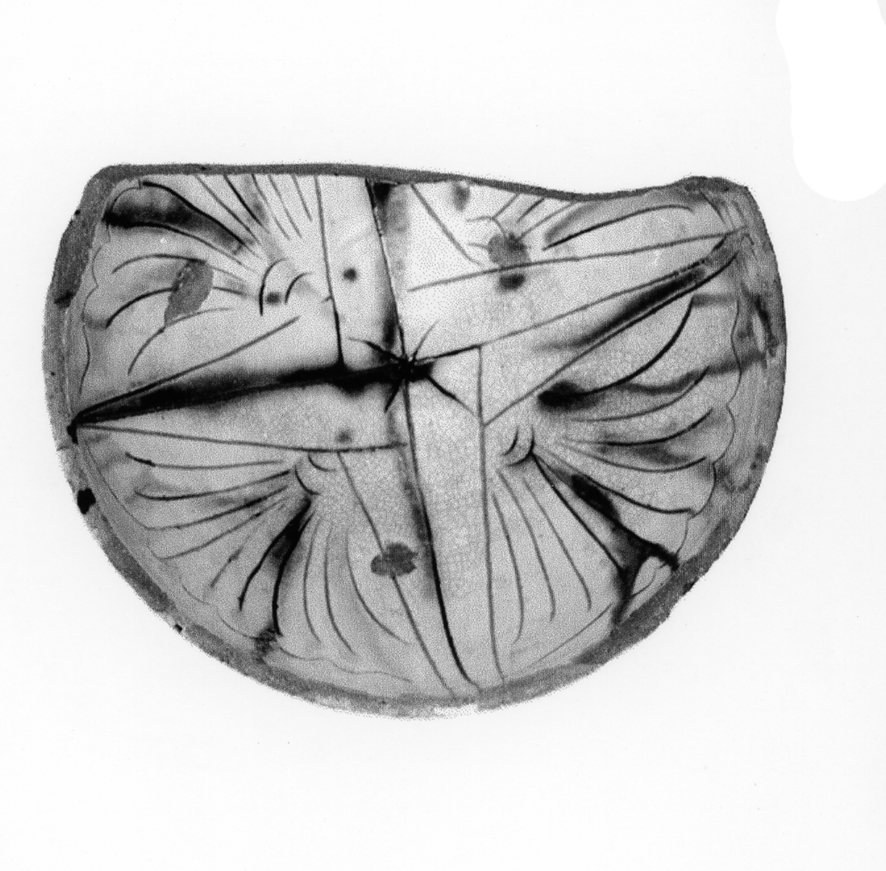 scodella - manifattura veneta (prima metà sec. XV d.C)