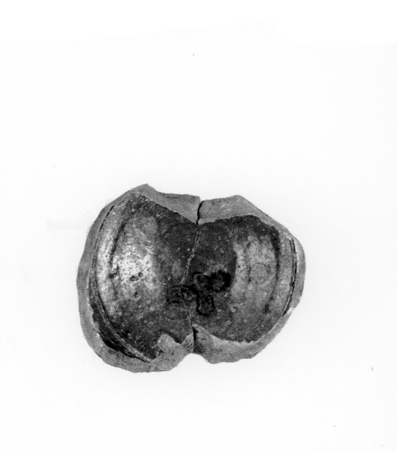 scodella - manifattura veneta (fine/ inizio secc. XIV/ XV d.C)