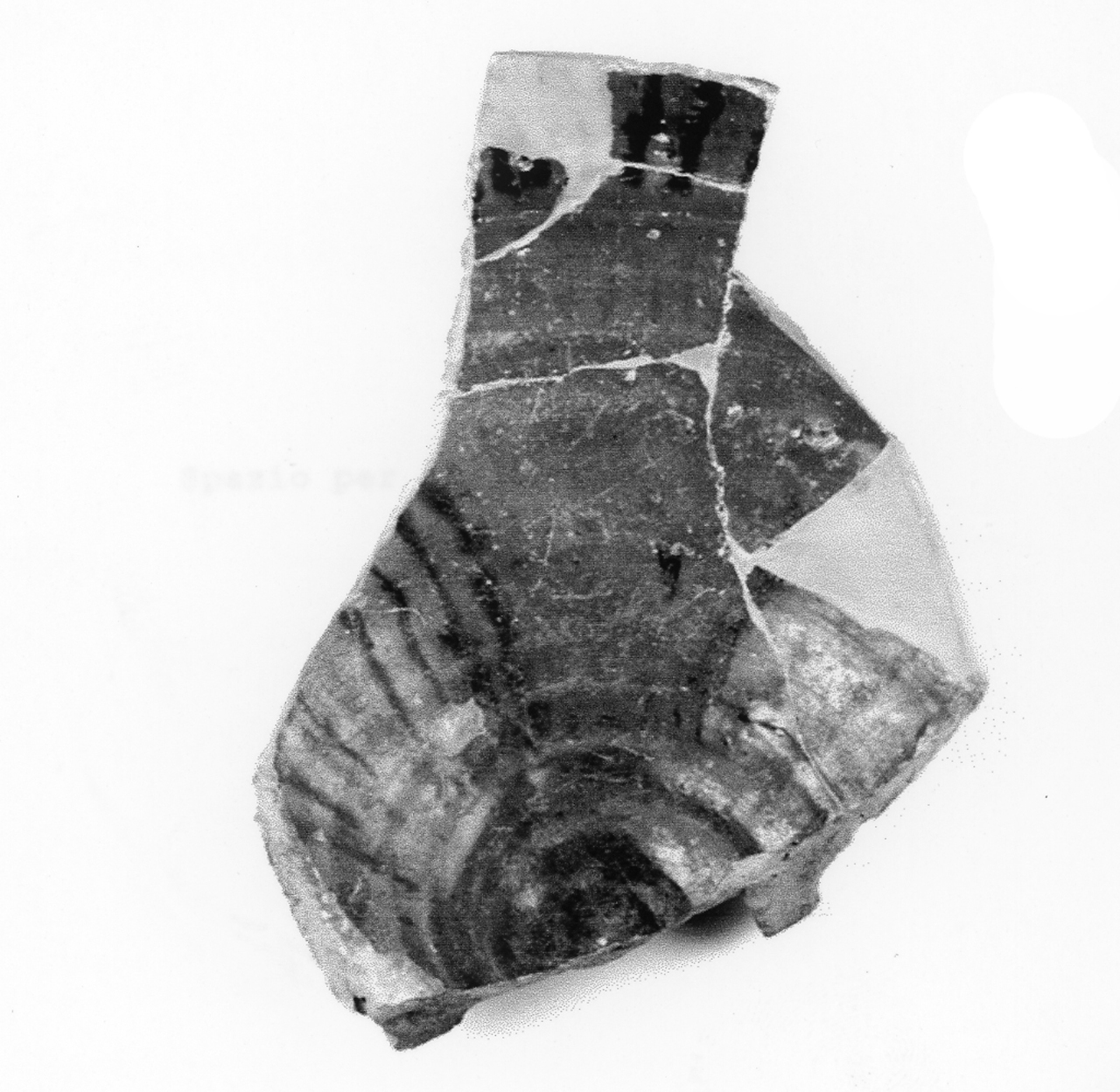 fondo e parete di bacino - manifattura veneta (fine/ inizio secc. XIV/ XV d.C)