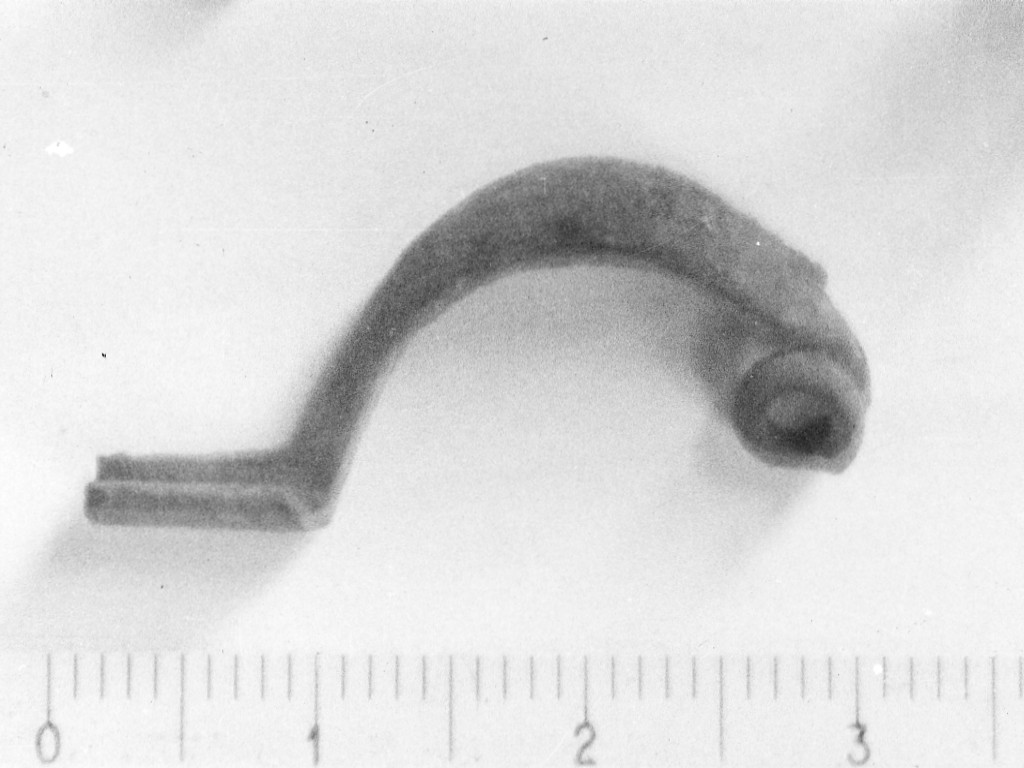 fibula a sanguisuga - Cultura di Golasecca IC- Età del Ferro (sec. VII a.C)