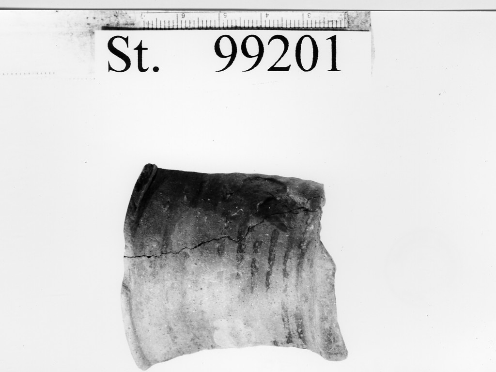 bicchiere/ frammento, De Marinis, tipo C1 - ambito golasecchiano (seconda metà sec. V a.C)