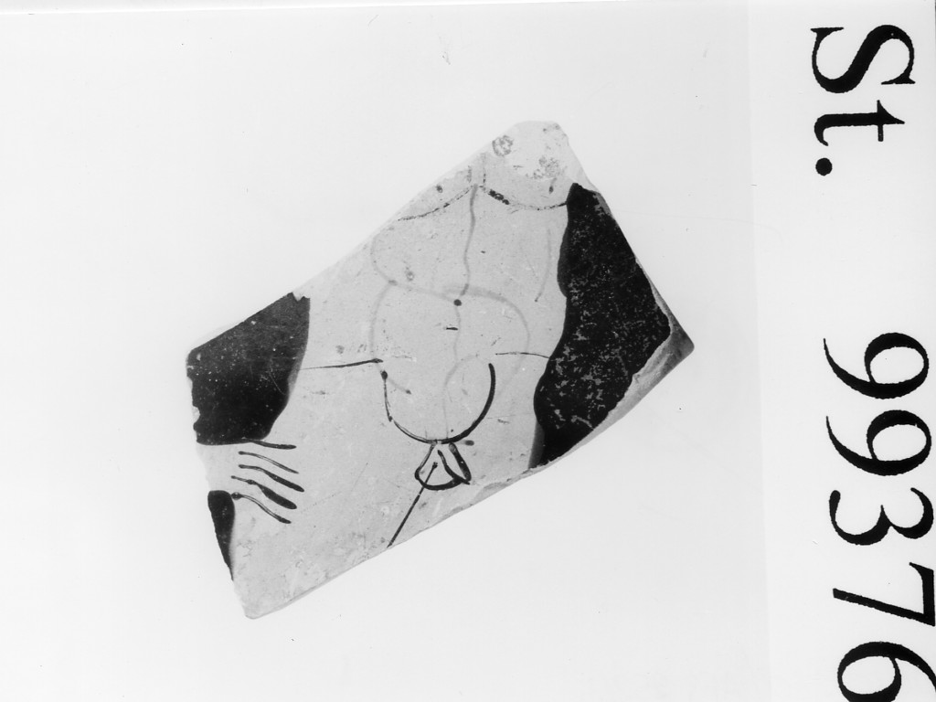 coppa/ parete - produzione attica, Pittore Fauvel (sec. V a.C)