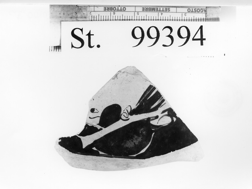 cratere a calice/ parete - produzione attica (sec. V a.C)