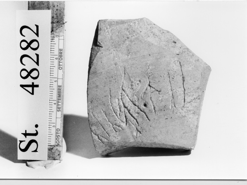 ciotola/ parete - produzione etrusca (sec. IV a.C)