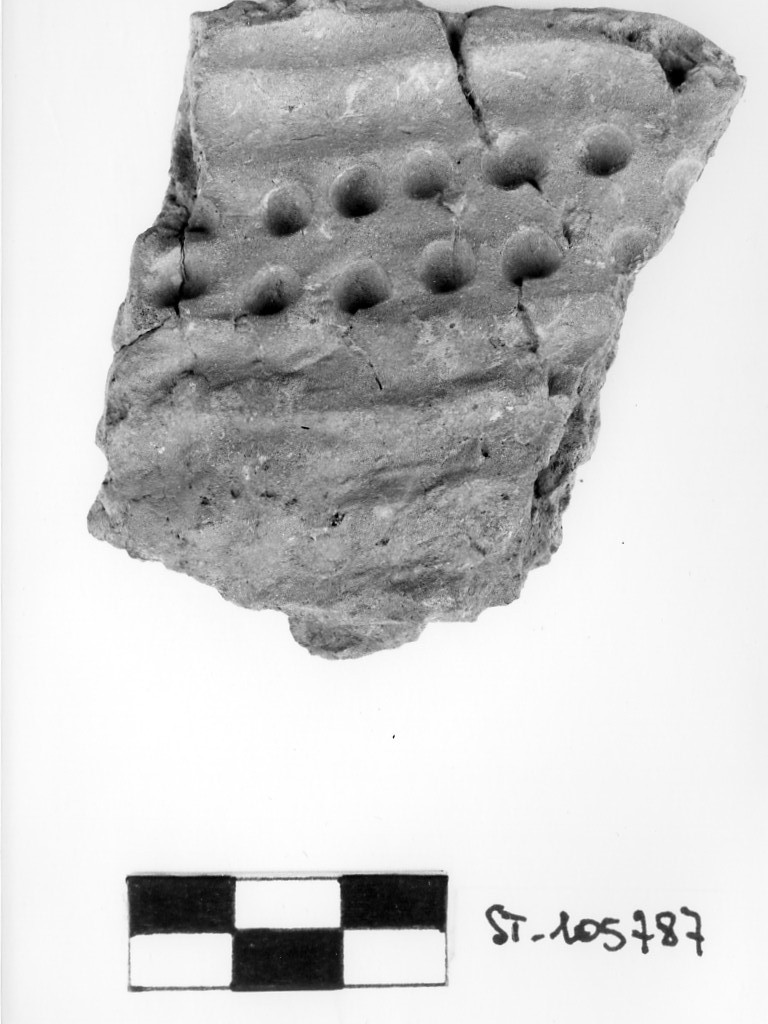 vaso/ frammento (Età del Bronzo)