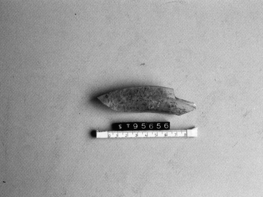 piatto/ orlo, tipo Isings 43 - ambito romano imperiale (inizio/ inizio secc. I-II d.C)