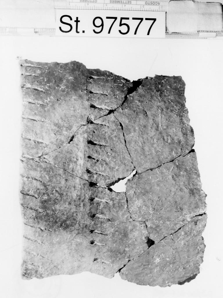 olletta/ frammento - ambito paleoveneto (seconda metà secc. VIII-VII a.C)