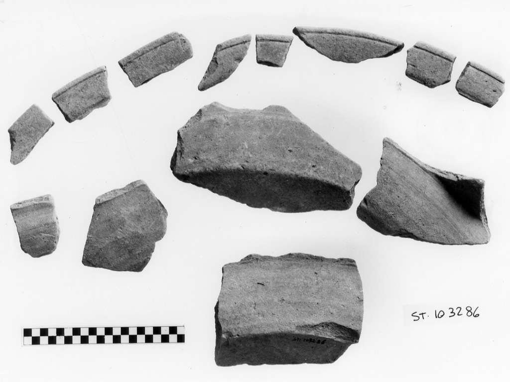 tegame/ forma parzialmente ricostruibile - ambito romano protoimperiale (fine/ inizio secc. I a.C. - I d.C)