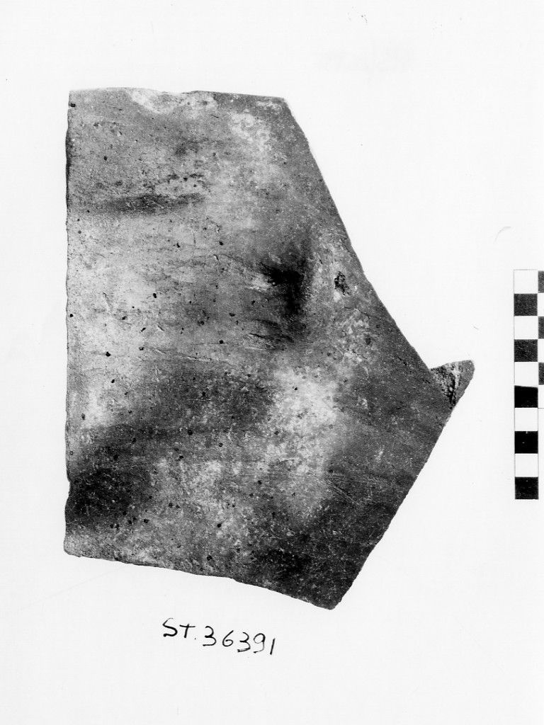 scodellone/ frammento - Cultura della Lagozza (Neolitico Superiore)