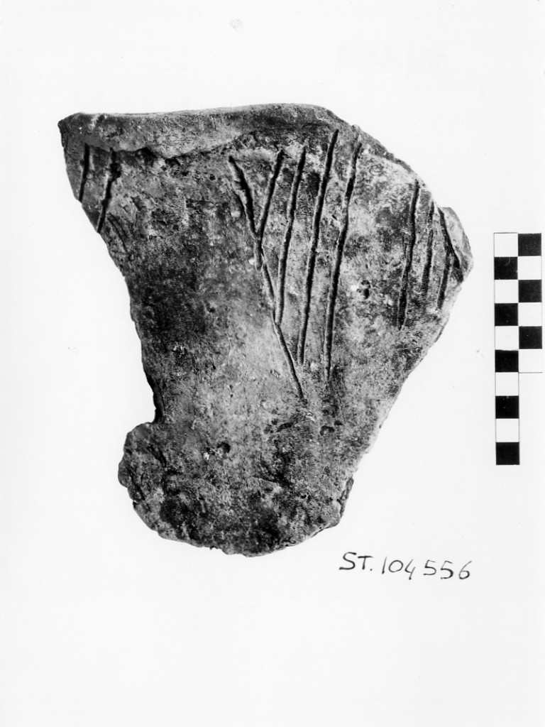 boccale/ frammento - Cultura dell'Isolino (Neolitico Inferiore)