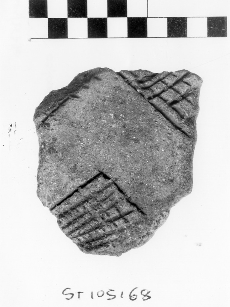 parete/ frammento - Eneolitico, Cultura del vaso campaniforme (fine/ inizio III-II millennio a.C)