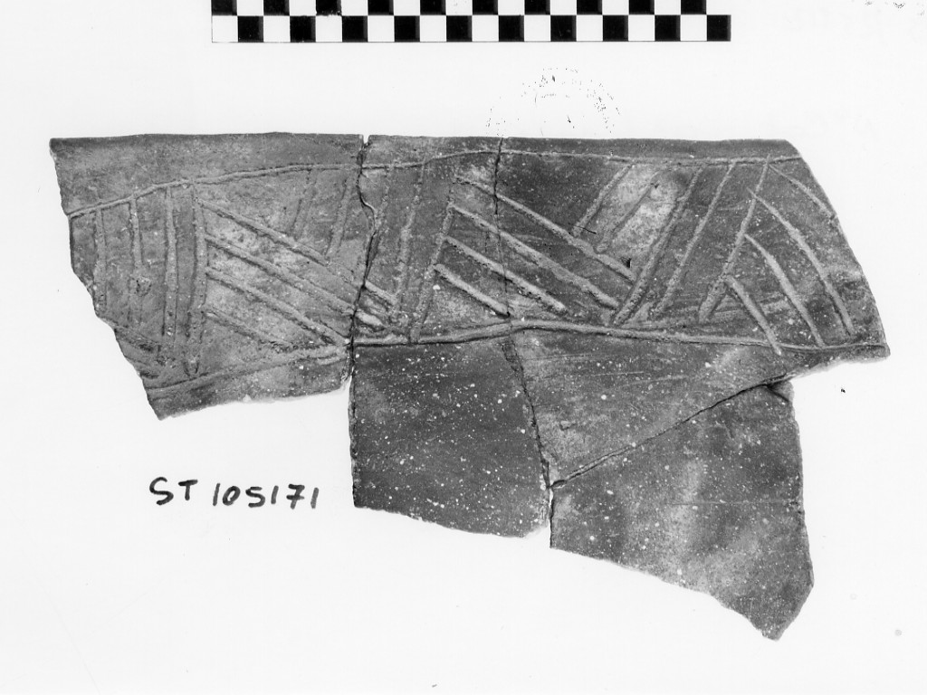 ciotola/ frammento - Neolitico Medio, Cultura V.B.Q (seconda metà IV millennio a.C)