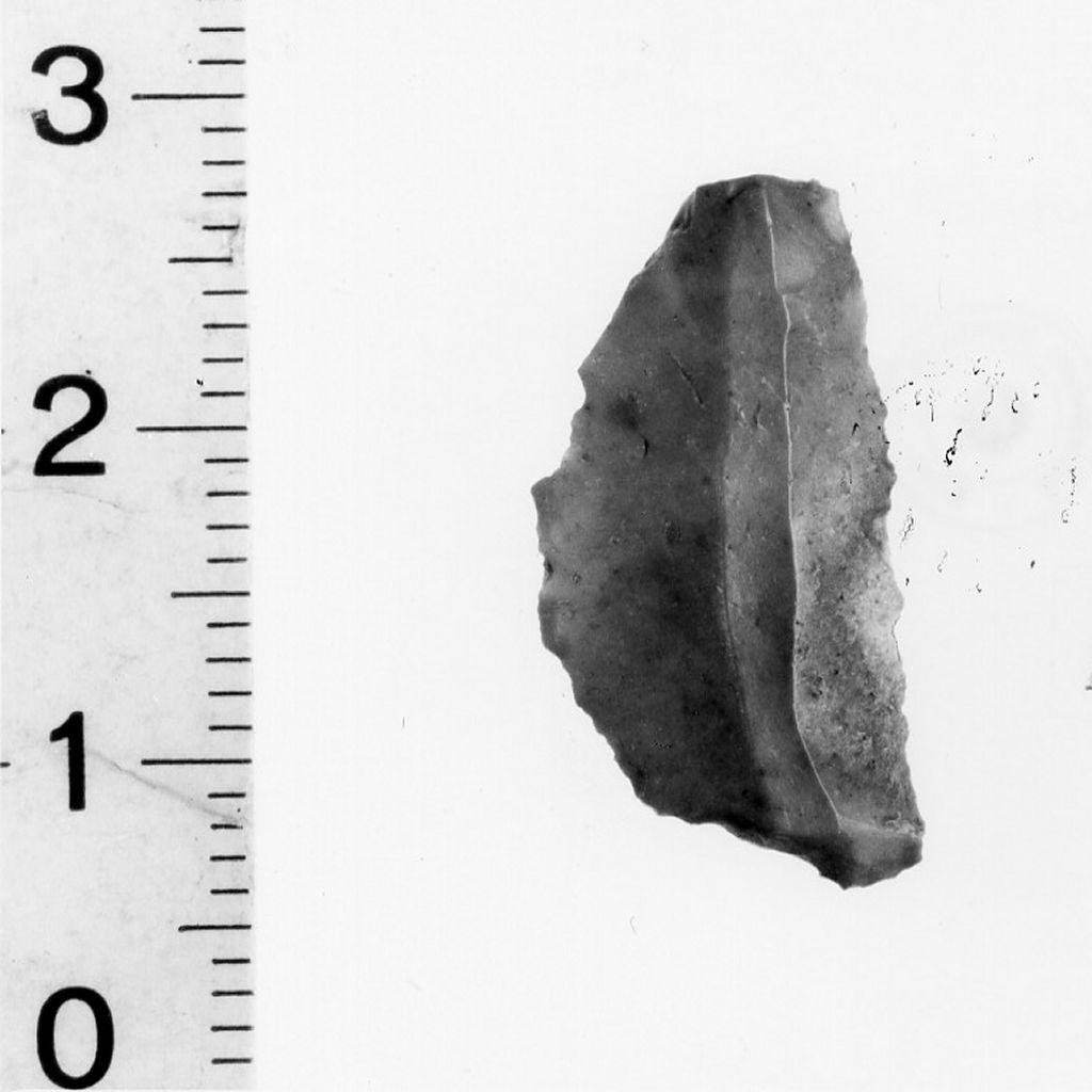 semiluna - Eneolitico Finale (fine/ inizio III-II millennio a.C)