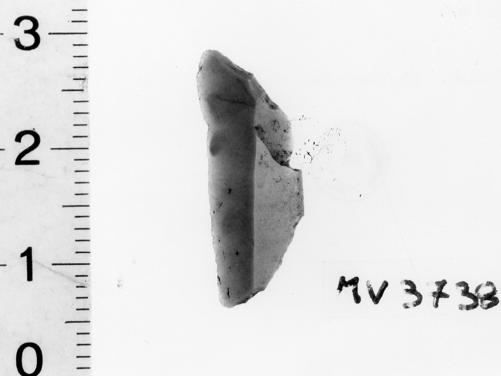 semiluna - Eneolitico Finale (fine/ inizio III-II millennio a.C)