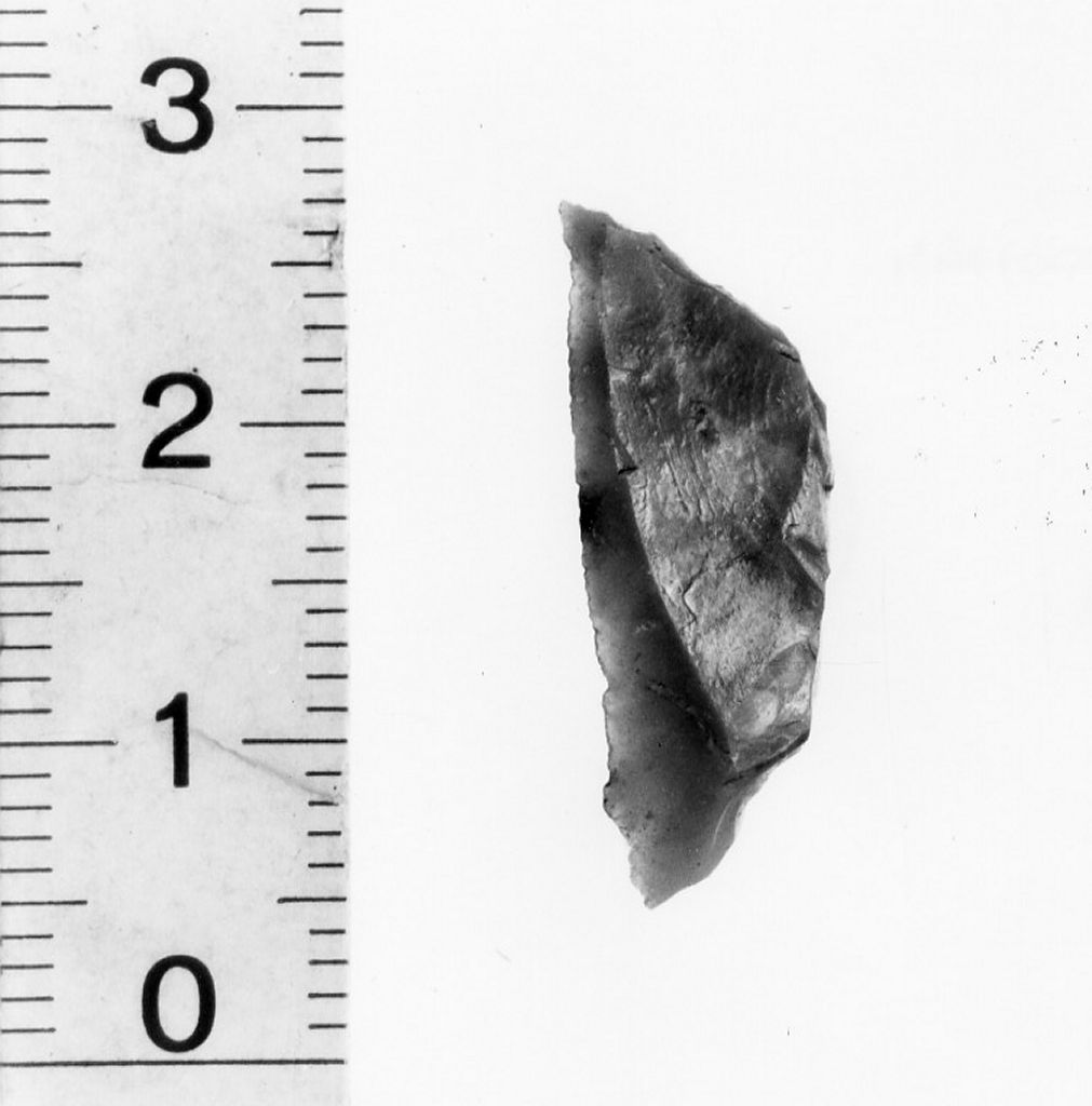 semiluna - Eneolitico Finale (fine/ inizio III-II millennio a.C)