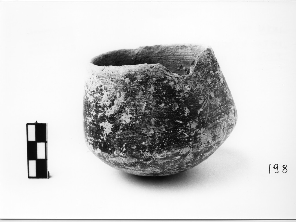 olletta - ambito etrusco e magno-greco (fine/ inizio secc. VI-V a.C)