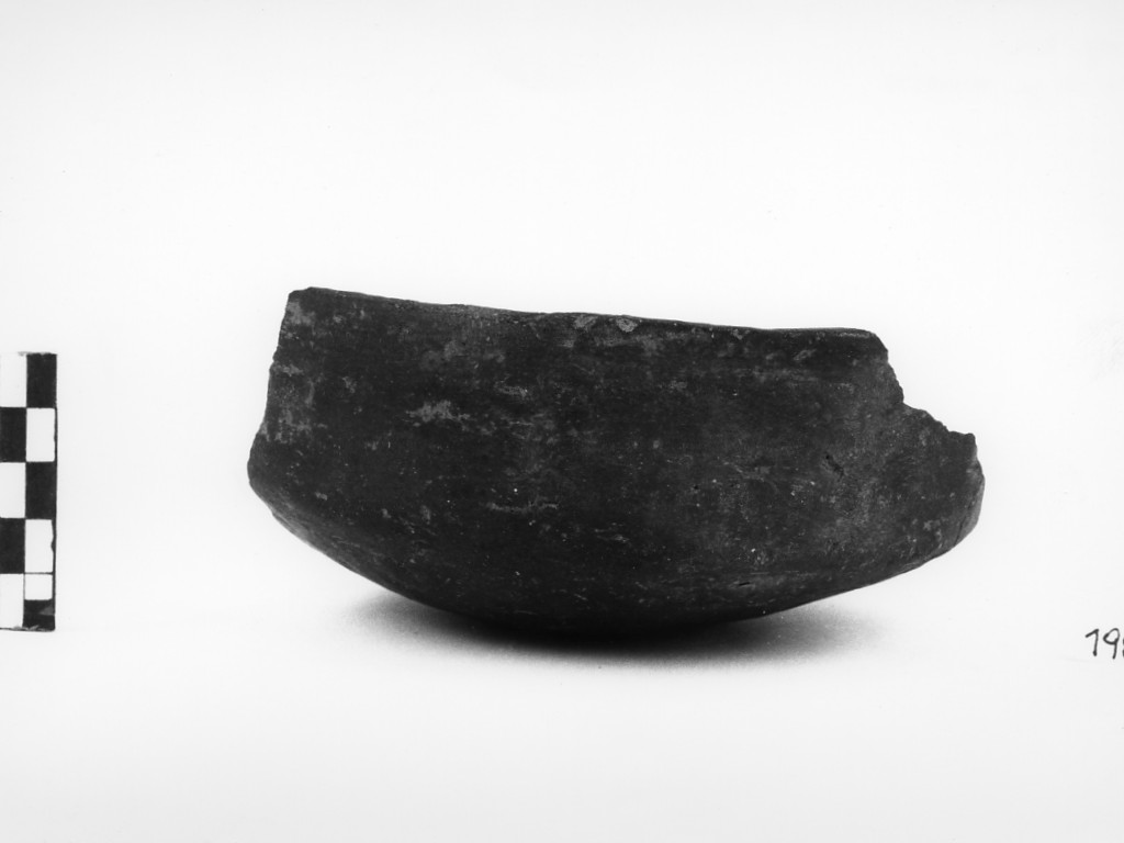 tazza (Bronzo medio)