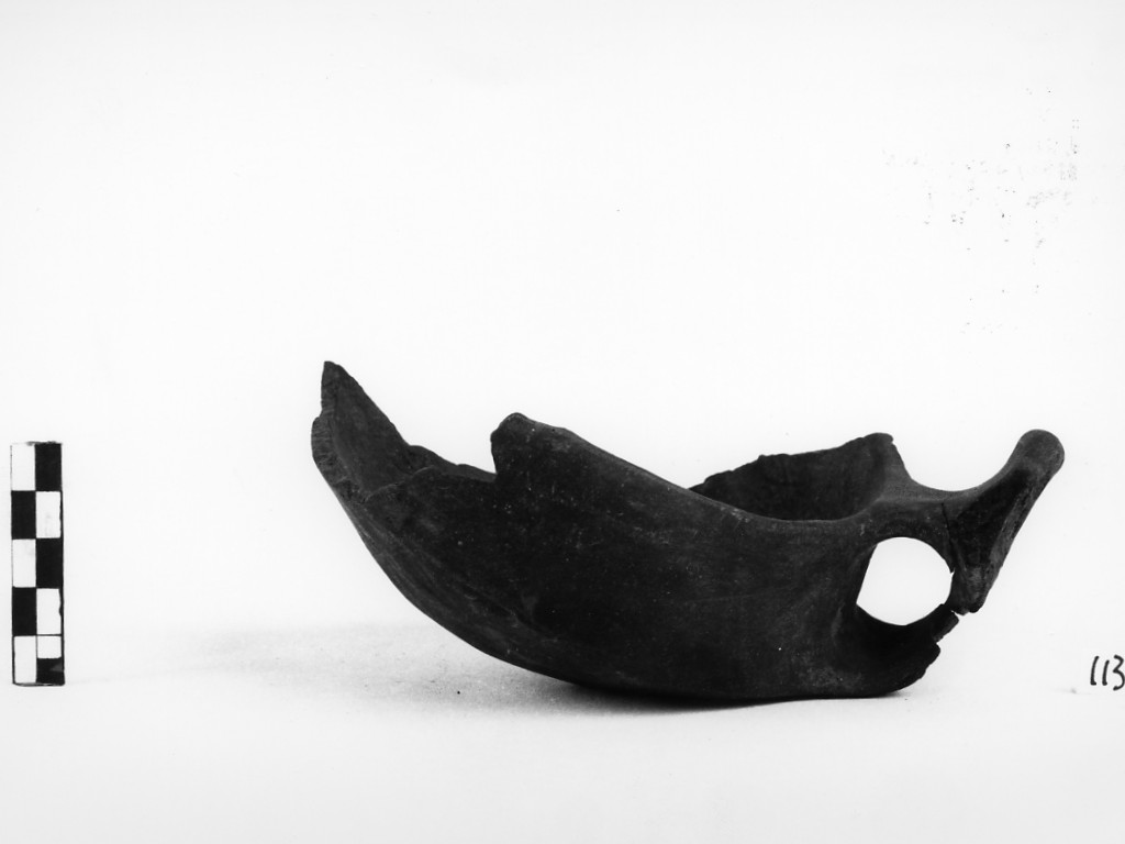 tazza/ frammento (Età del Bronzo medio)