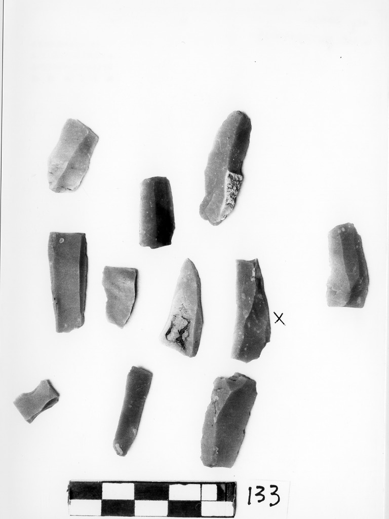 lama (Bronzo antico - Bronzo medio)