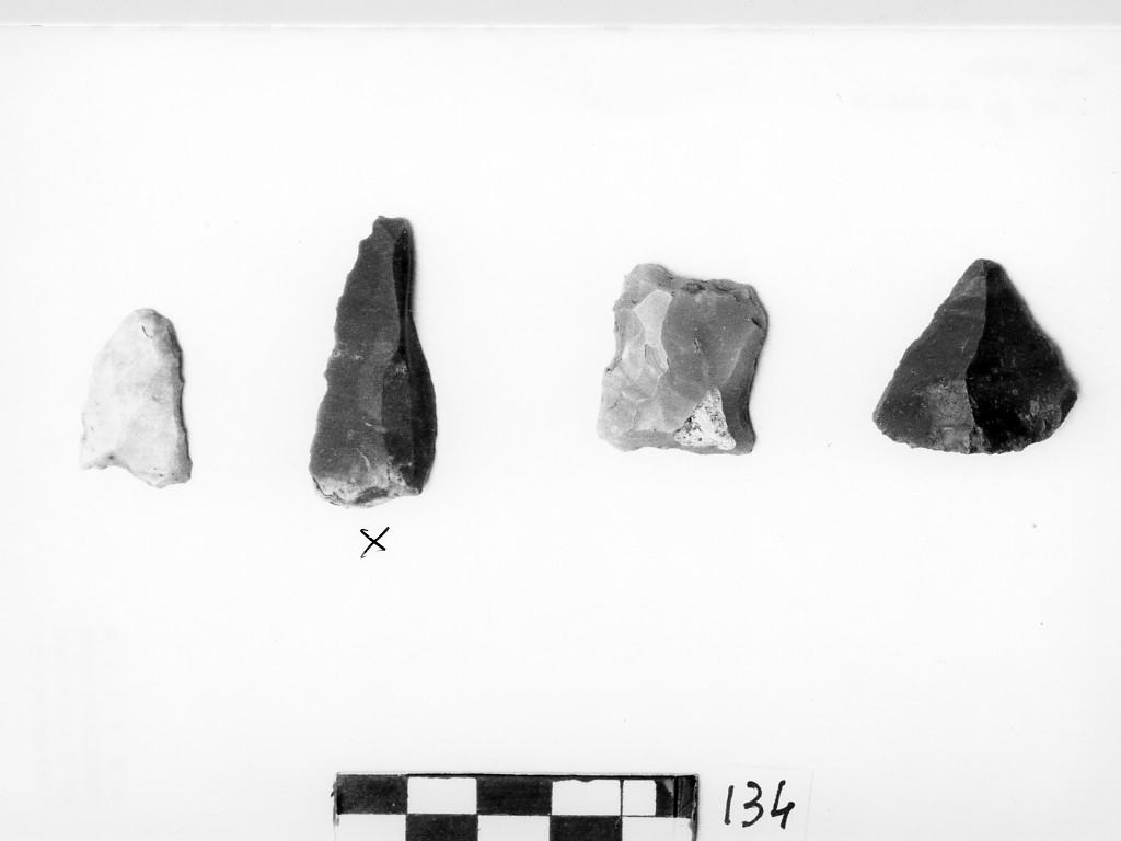 lama (Bronzo antico - Bronzo medio)