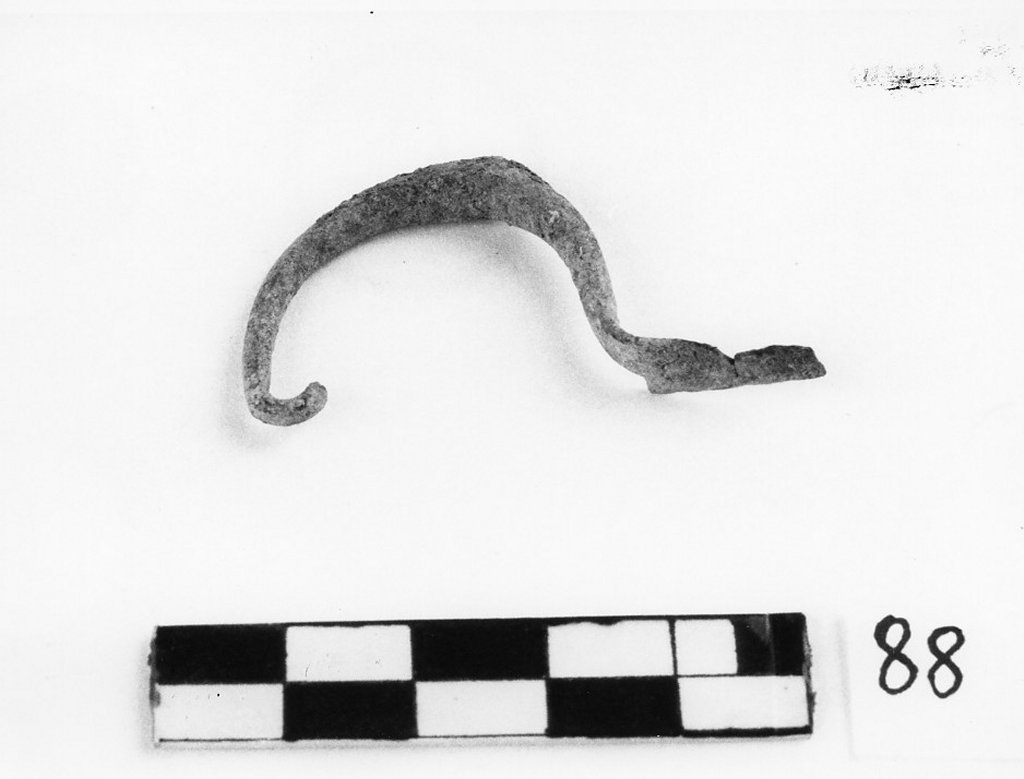 fibula ad arco ingrossato (prima Età del Ferro)