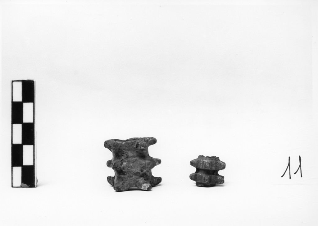 morso equino/ frammento (fine secc. VI-IV a.C)