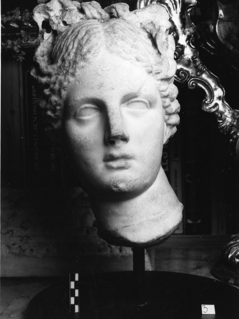 Afrodite (testa femminile) (secc. I-II d.C)