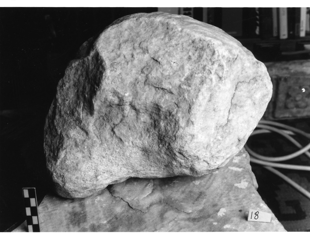 testa maschile (sec. I d.C)