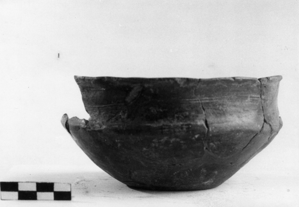 tazza - media-tarda età del Bronzo (sec XIII a.C)