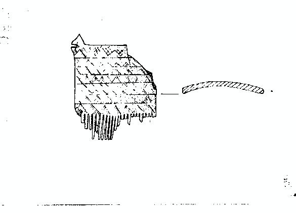 pettine - tarda età del Bronzo (sec XIII a.C)