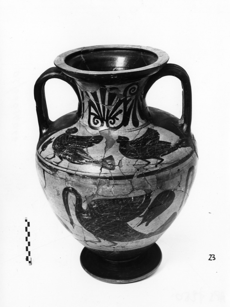 anfora - produzione etrusca, Pittore di Micali (seconda metà sec. VI a.C)