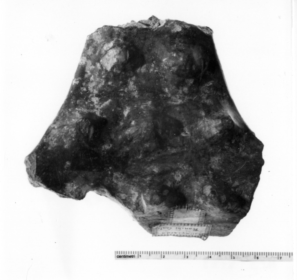 fornello - produzione terramaricola (età del bronzo recente)