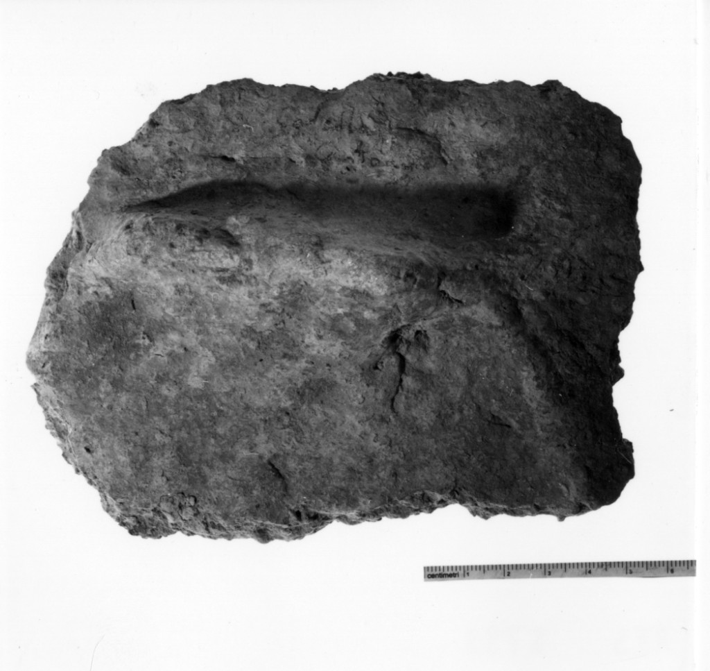 vaso/ frammento - produzione terramaricola (età del bronzo medio o recente)
