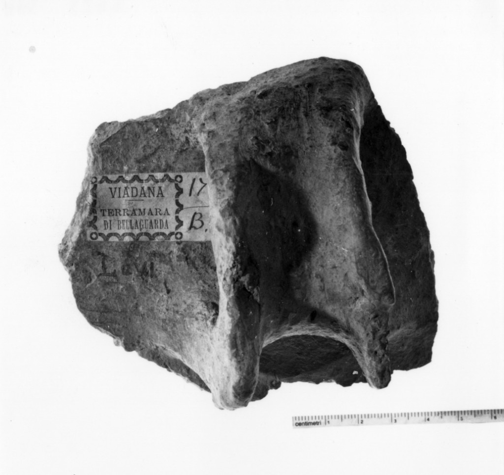 vaso/ frammento - produzione terramaricola (età del bronzo medio-recente)